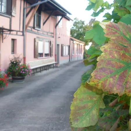 Feriehus & On The Route Des Vins Bergheim