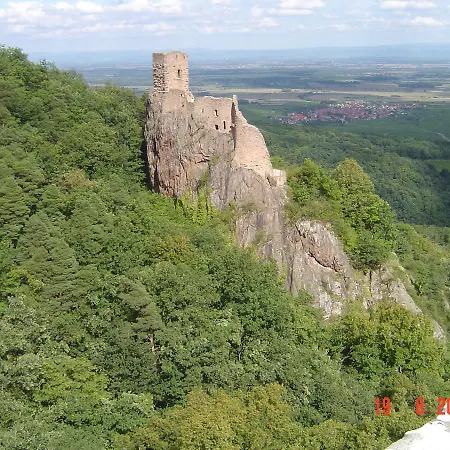 & On The Route Des Vins Bergheim