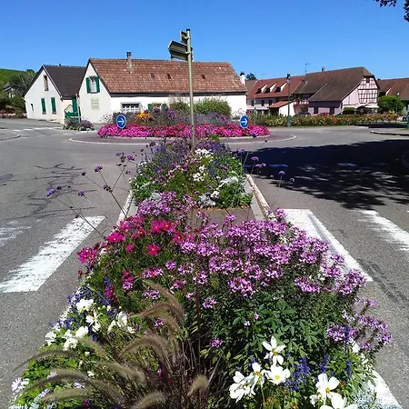 & On The Route Des Vins *