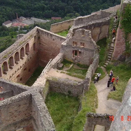 & On The Route Des Vins * Bergheim