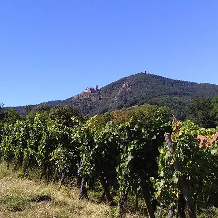 & On The Route Des Vins Bergheim