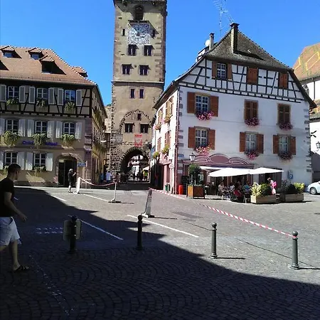 Hébergement de vacances & On The Route Des Vins Bergheim