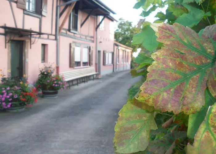 Holiday home & On The Route Des Vins Bergheim