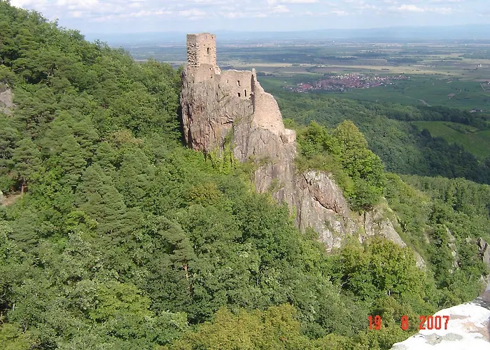 & On The Route Des Vins Bergheim