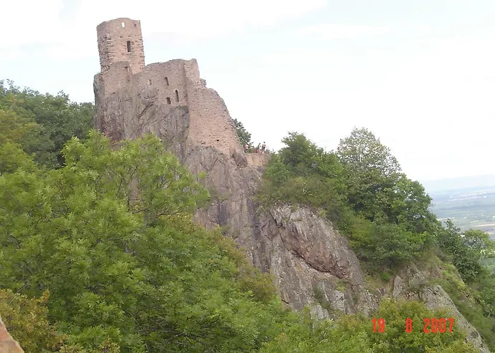 & On The Route Des Vins * Bergheim