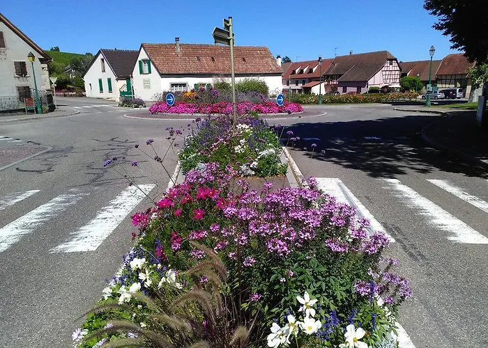 & On The Route Des Vins *