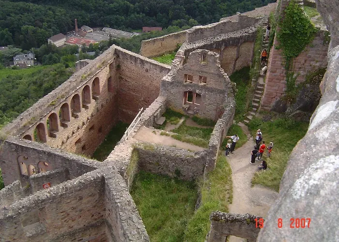 & On The Route Des Vins * Bergheim