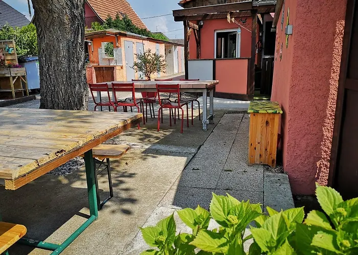 & On The Route Des Vins *